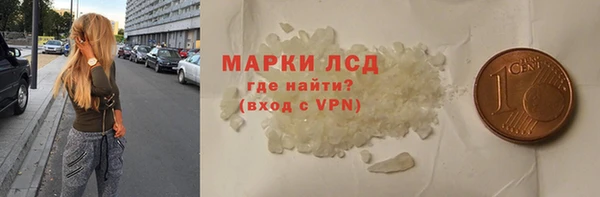 ПСИЛОЦИБИНОВЫЕ ГРИБЫ Осташков