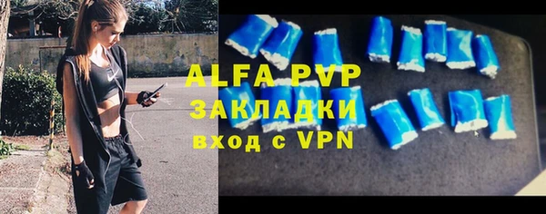 ПСИЛОЦИБИНОВЫЕ ГРИБЫ Осташков